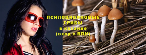прущая мука Белокуриха