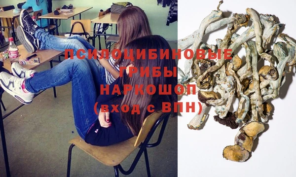 прущая мука Белокуриха