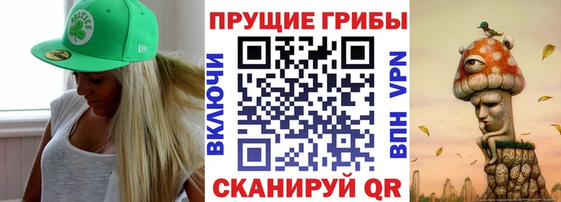 Псилоцибиновые грибы Psilocybe ОМГ ОМГ ссылка Пионерский купить